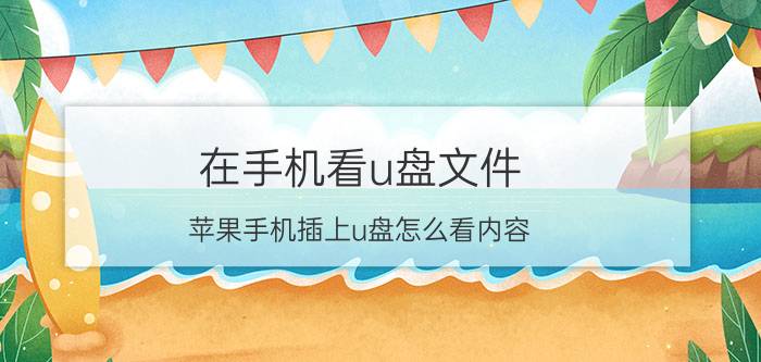 在手机看u盘文件 苹果手机插上u盘怎么看内容？